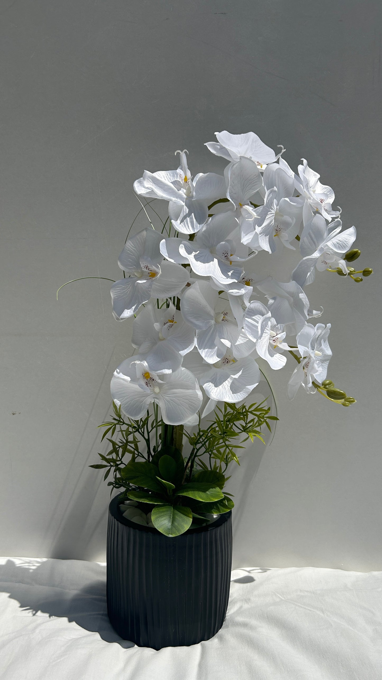 Orchidée Éternelle