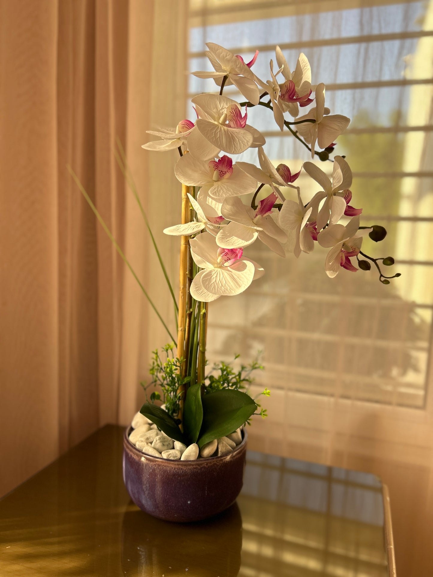 Orchidée Élégance